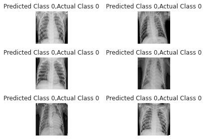 Predict&Actual Images